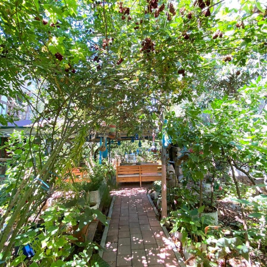 Likya Pansiyon Kaleucagız Extérieur photo