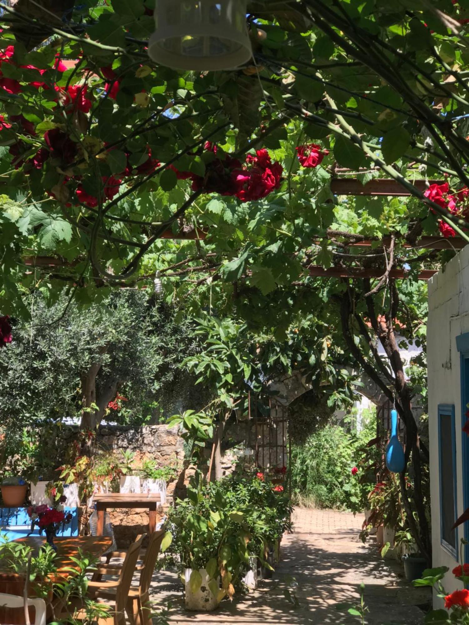 Likya Pansiyon Kaleucagız Extérieur photo