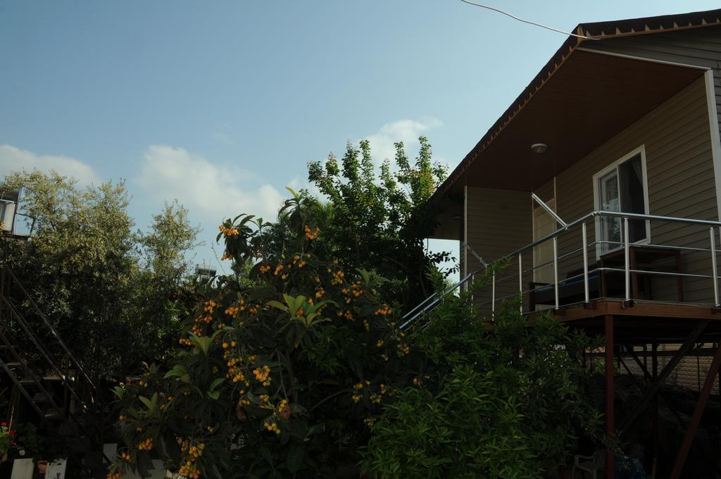 Likya Pansiyon Kaleucagız Extérieur photo