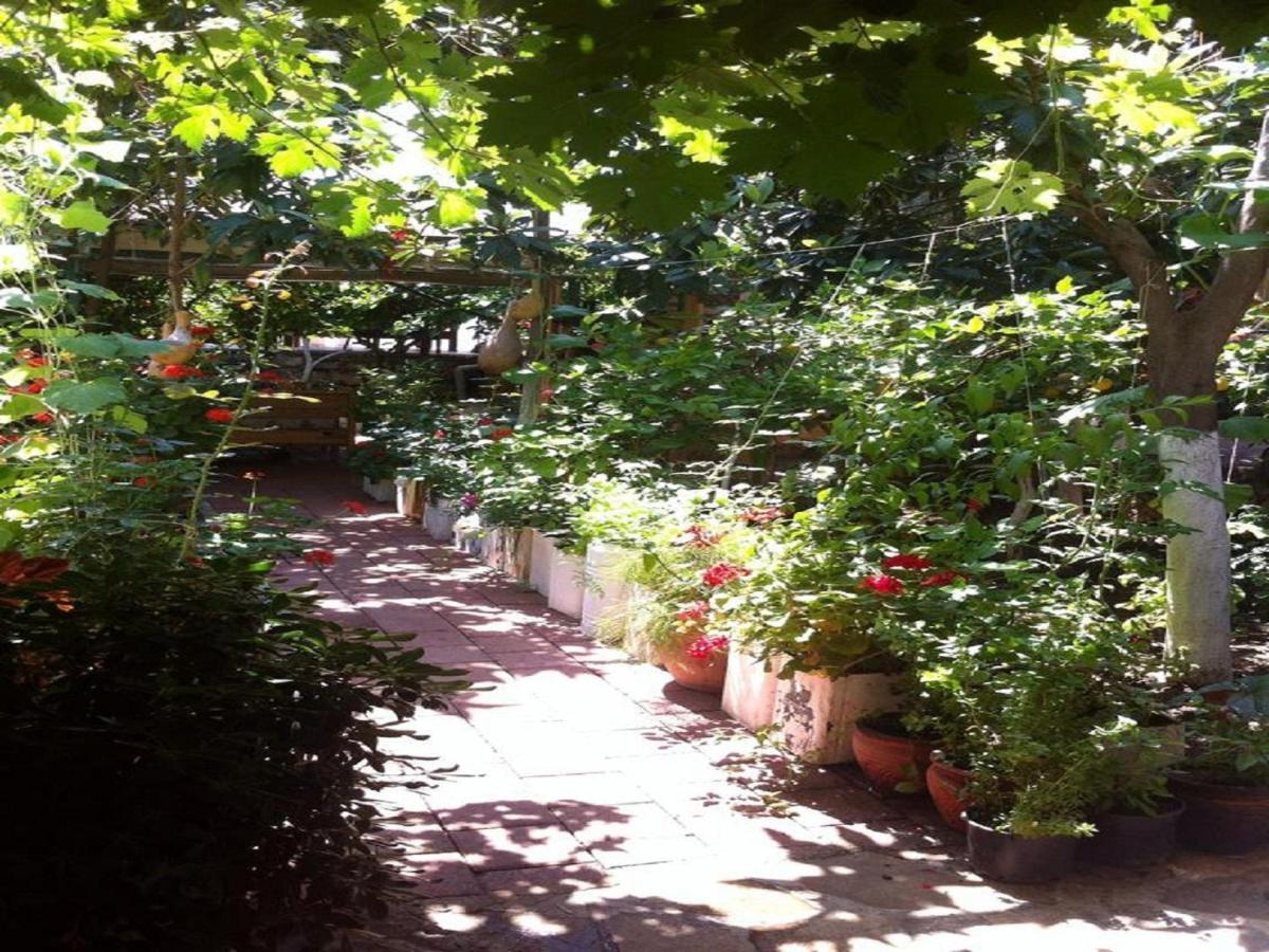 Likya Pansiyon Kaleucagız Extérieur photo